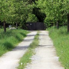 Which Type of Driveway Is Best for Irish Homes in 2026? Which Type of Driveway Is Best for Irish Homes in 2026