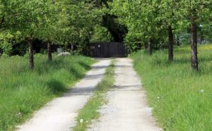 Which Type of Driveway Is Best for Irish Homes in 2026