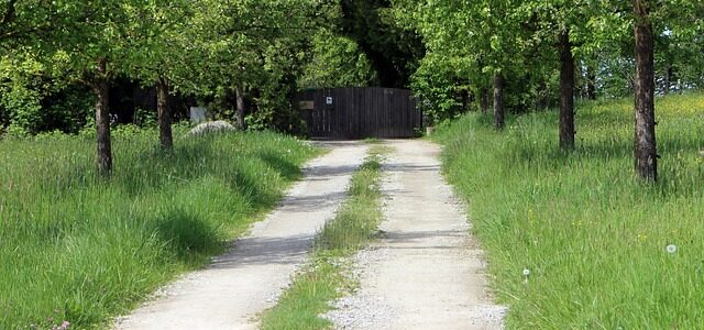 Which Type of Driveway Is Best for Irish Homes in 2026