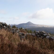 Wicklow Homeowners: Which Driveway Will Transform Your Property (and Survive Irish Weather)