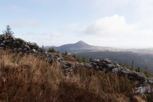 Blog 6 Wicklow Homeowners: Which Driveway Will Transform Your Property (and Survive Irish Weather)