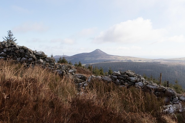 Wicklow Homeowners: Which Driveway Will Transform Your Property (and Survive Irish Weather)