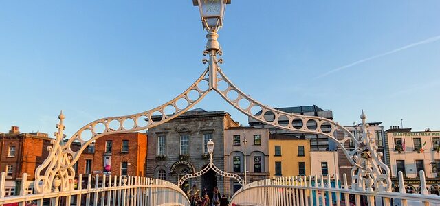 What Are the Best Driveway Options in Dublin Costs, Types and Expert Advice for 2026