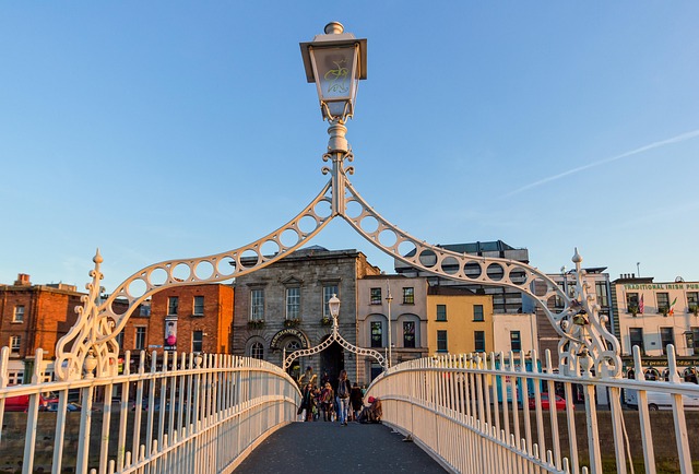What Are the Best Driveway Options in Dublin Costs, Types and Expert Advice for 2026